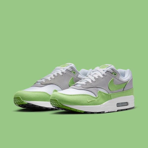 Air max 1 patta 5th anniv green online